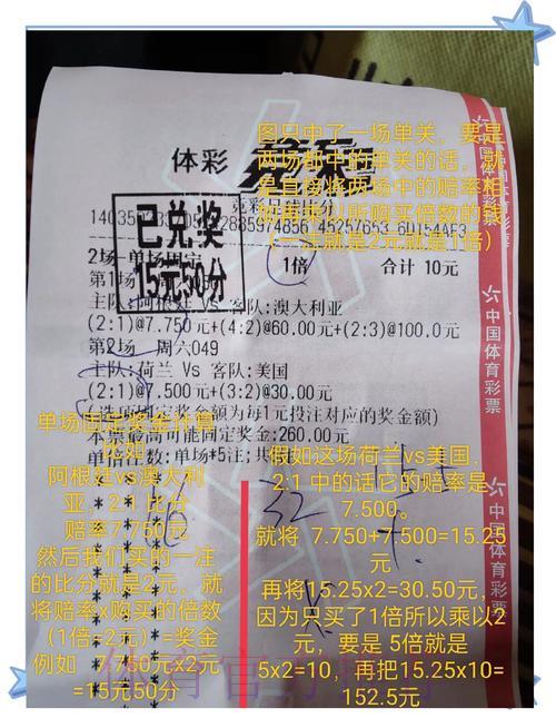 世界杯竞猜投注盈利技巧深度解读 世界杯竞猜投注盈利技巧深度解读